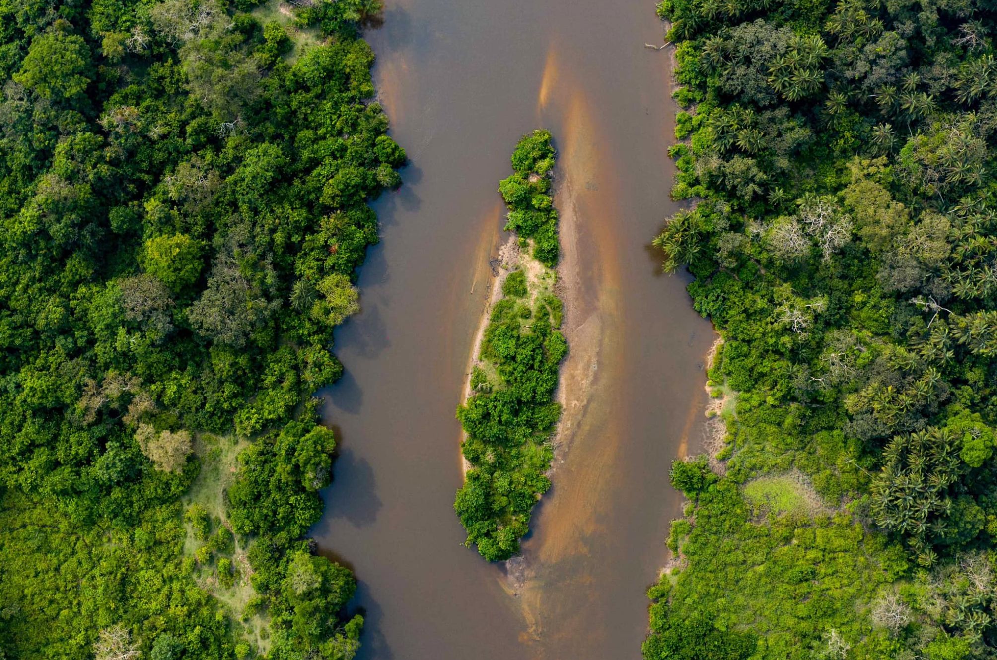 Plateau Batéké et fleuve, Ollombo
