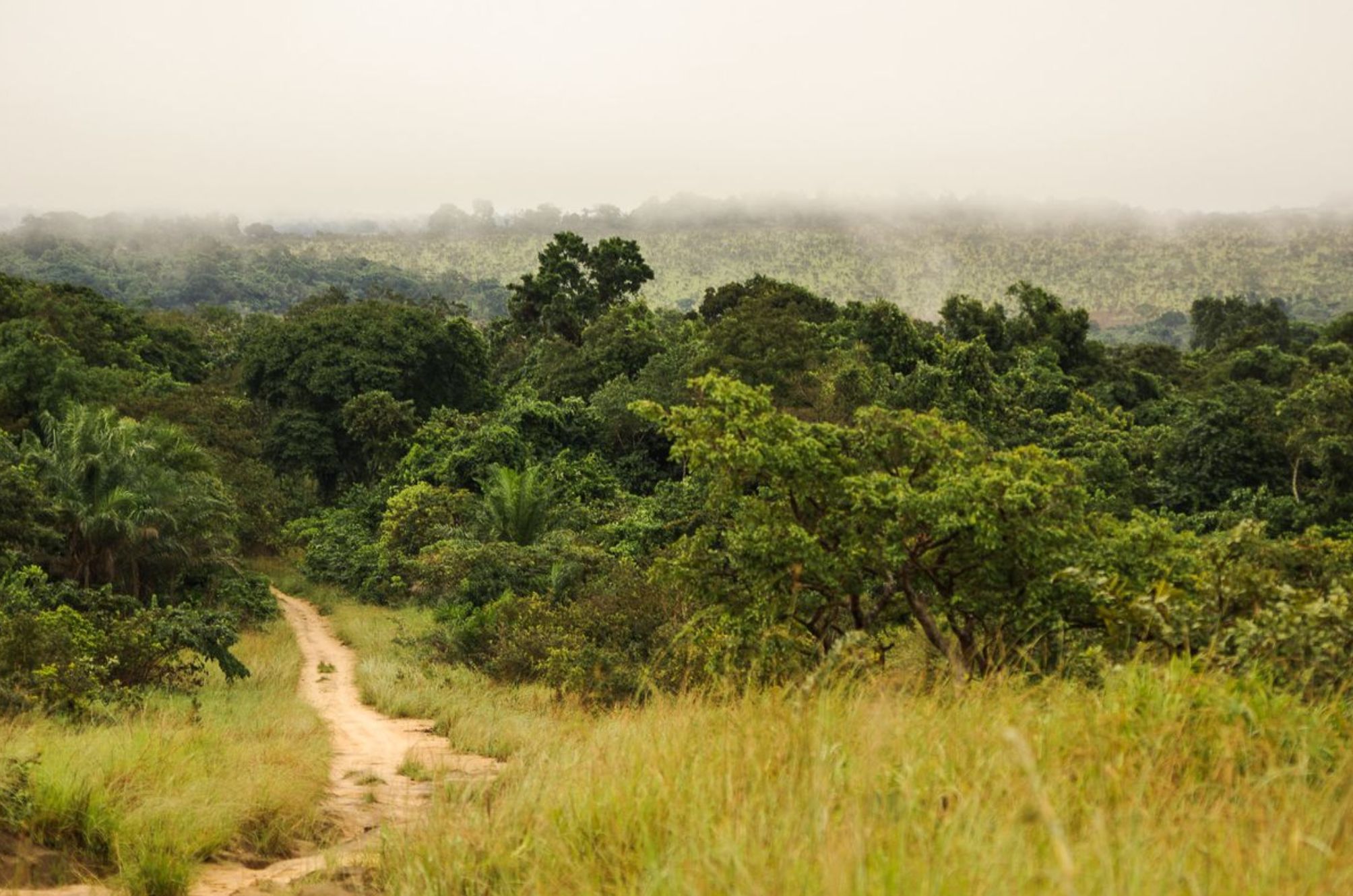 Plateau Batéké, Ollombo