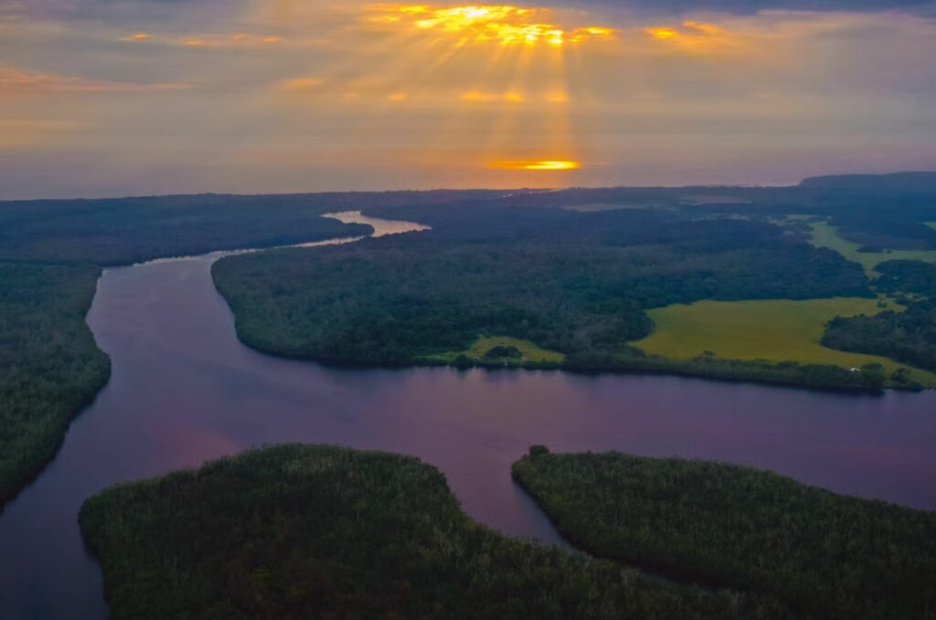Le parc national de Conkouati-Douli, près de Pointe-Noire